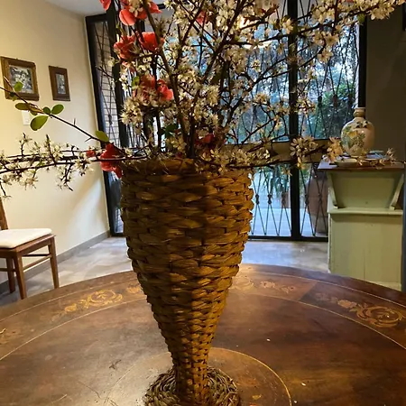 Basisa Bed&Breakfast-3