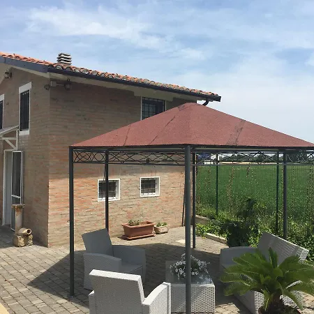 il leccio-3